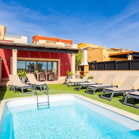 Mariposas Caleta Willa *