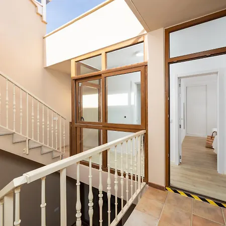 Mariposas Caleta Willa