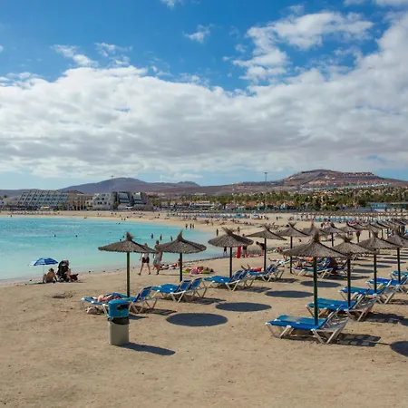 Mariposas Caleta
